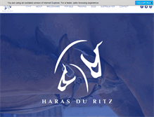 Tablet Screenshot of harasduritz.com